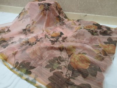 Fancy organza with digital print with blouse (5)