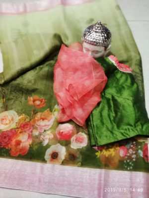 Organza sarees with silver border ad pallu with designer blouse (14)