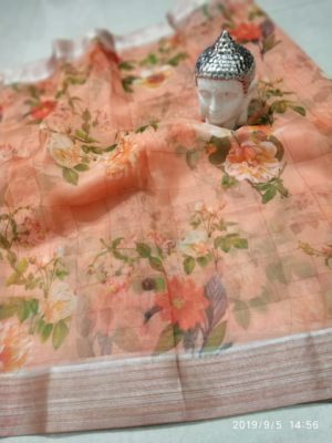 Organza sarees with silver border ad pallu with designer blouse (3)