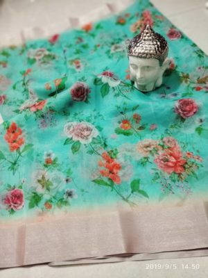 Organza sarees with silver border ad pallu with designer blouse (9)