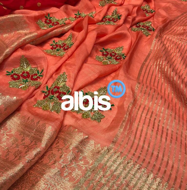 Pure dola silk with banarasi piping border (6)