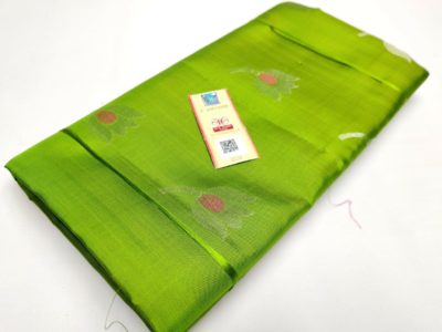 Pure handloom kanchipuram silk sarees (10)