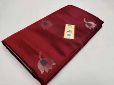 Pure handloom kanchipuram silk sarees (6)