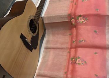 Pure handloom organza embroidary sarees with check blouse (10)