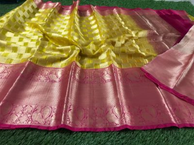 Pure kanchi organza sarees with checks and dolls (17)