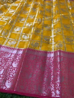 Pure kanchi organza sarees with checks and dolls (20)