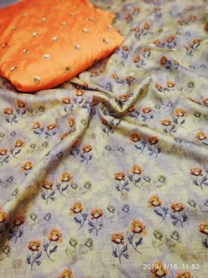 Pure tussar banaras sarees with contrast blouse (3)