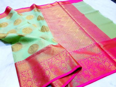 organza sarees with brocade blouse (2)