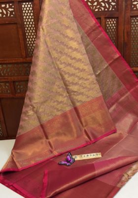 Kora with tissue weaved sarees with contrast border (10)