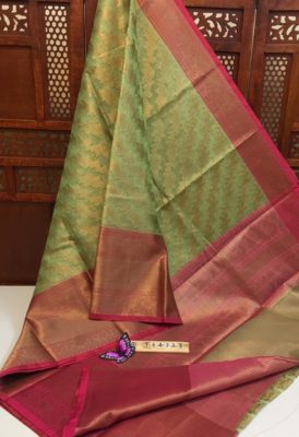 Kora with tissue weaved sarees with contrast border (22)