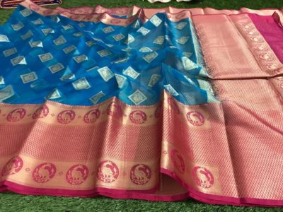 New arrivals of kanchi organza sarees (10)