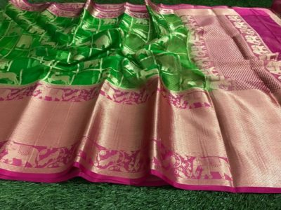 New arrivals of kanchi organza sarees (14)