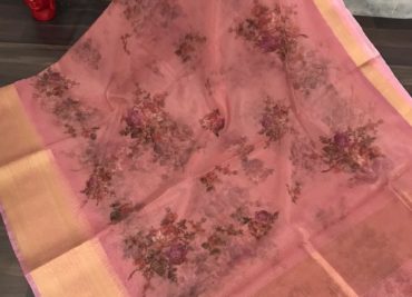 Organza digital printed sarees with brocade blouse (4)