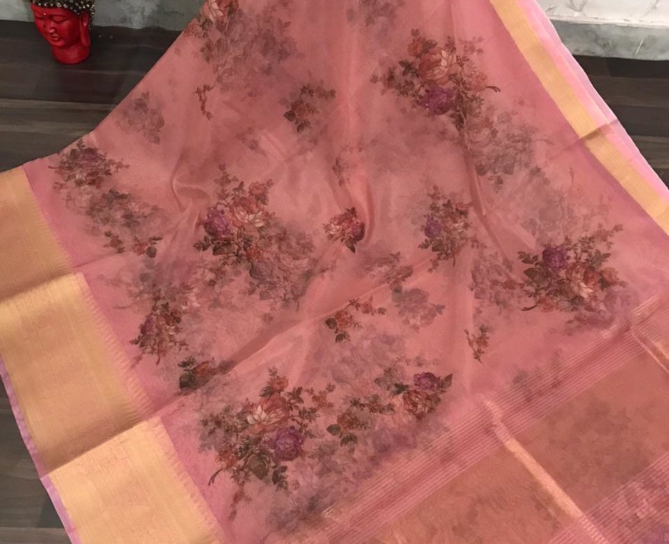 Organza digital printed sarees with brocade blouse (4)