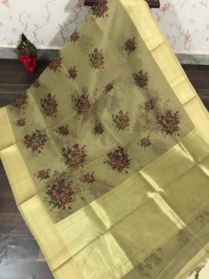 Organza digital printed sarees with brocade blouse (6)
