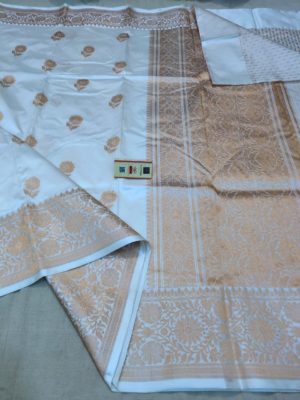 Pure handloom banarasi silk sarees (17)