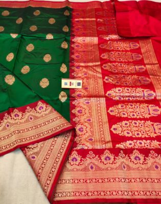 Pure handloom banarasi silk sarees (6)