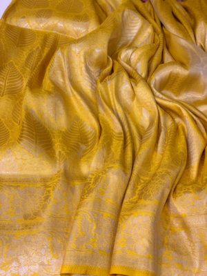 Soft silk banarasi with silver jaal (9)