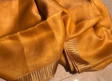 Pure linen tissue sarees with border (5)