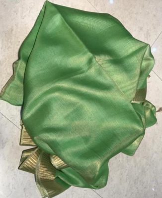 Pure linen tissue sarees with border (7)