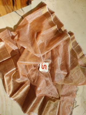 Beautiful tissue sarees with kanchi border (5)