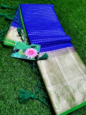 Kanchi organza with zari border sarees (9)