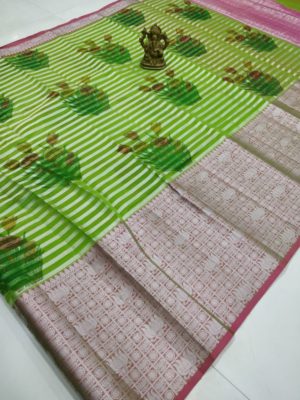 Latest floral organza sarees with border (4)
