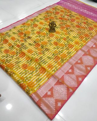 Latest floral organza sarees with border (5)