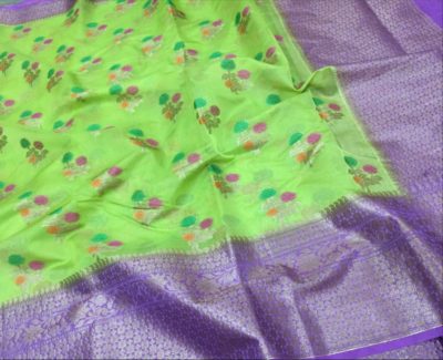 Pure chiffon banarasi big border sarees with blouse (13)