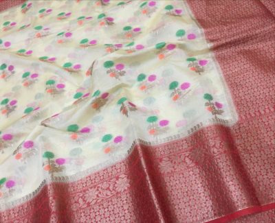 Pure chiffon banarasi big border sarees with blouse (4)