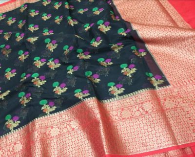 Pure chiffon banarasi big border sarees with blouse (8)