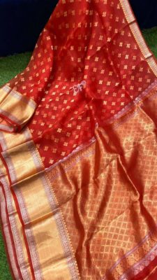 Fancy shades of organza sarees with blouse. (1)