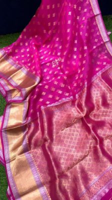 Fancy shades of organza sarees with blouse. (23)
