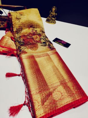Floral design kanchi organza sarees with contrast blouse (9)