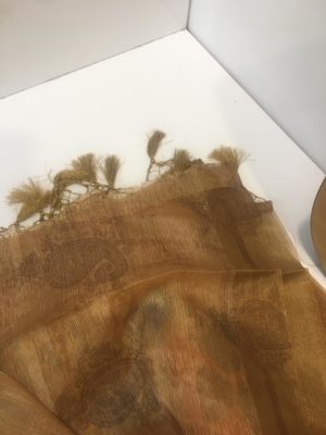Fancy kora antique tissue printed sarees (3)