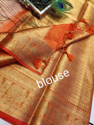Latest tissue organza sarees with blouse (11)