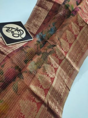 Organza kanchi border with blouse (7)