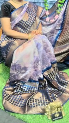 Pure chiniya pattu sarees with digital print (4)