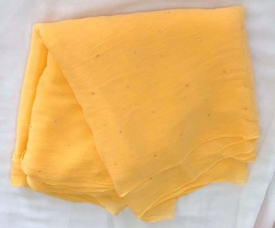 Pure multi shaded chiffon sarees (12)