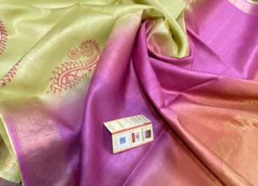 Pure tussar block printed sarees (11)