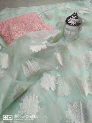 Beautiful designer organza sarees with blouse (5)
