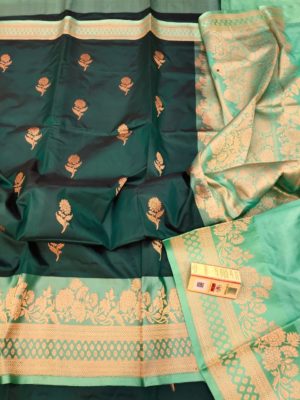 Exclusive banarasi katan silk with blouse (1)