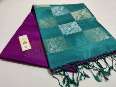 Pure handloom kanchipuram silk sarees (16)