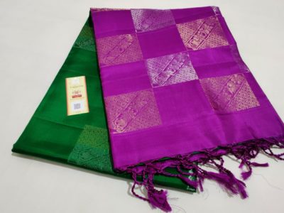 Pure handloom kanchipuram silk sarees (20)