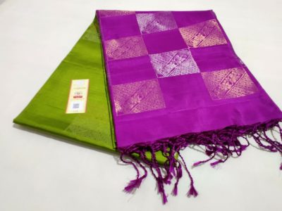 Pure handloom kanchipuram silk sarees (21)