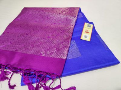 Pure handloom kanchipuram silk sarees (25)