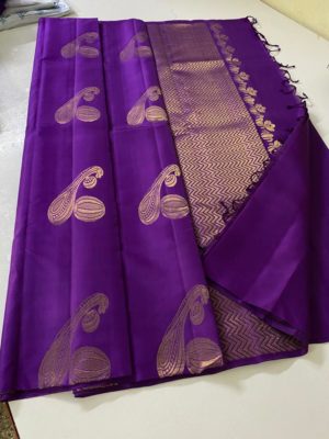 Pure kanchi handloom silk with instrumental design (5)