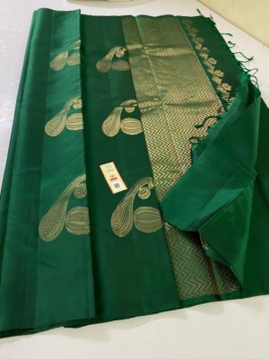 Pure kanchi handloom silk with instrumental design (6)