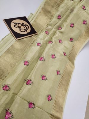 Pure moonga silk with kanchi border (10)