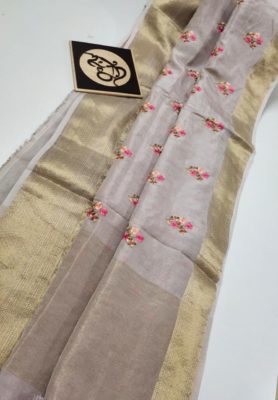 Pure moonga silk with kanchi border (11)